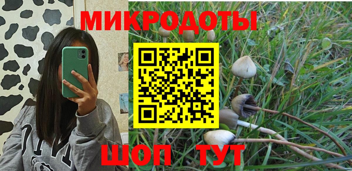 Шахты  Галлюциногенные грибы Psilocybe  Вход с VPN 