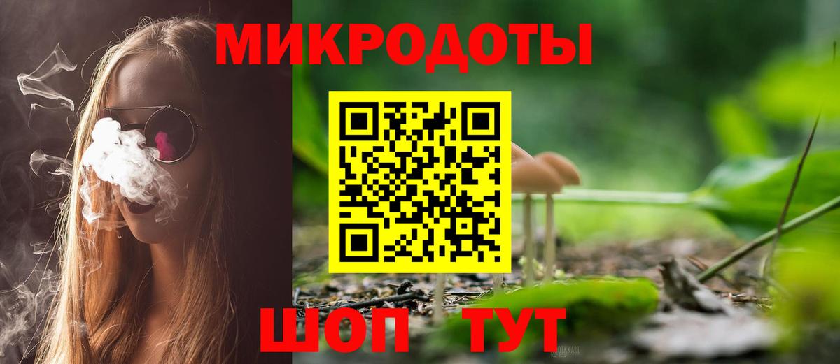 Галлюциногенные грибы Psilocybe Шахты